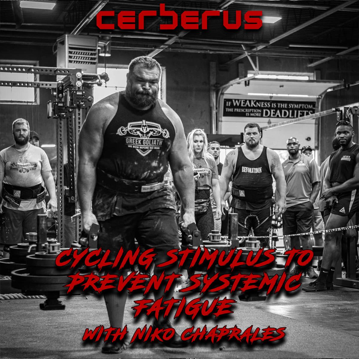 Cycling Stimulus To Prevent Systemic Fatigue With Niko Chaprales