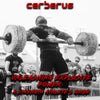Unleashing Explosive Power:  A Strength Athlete's Guide