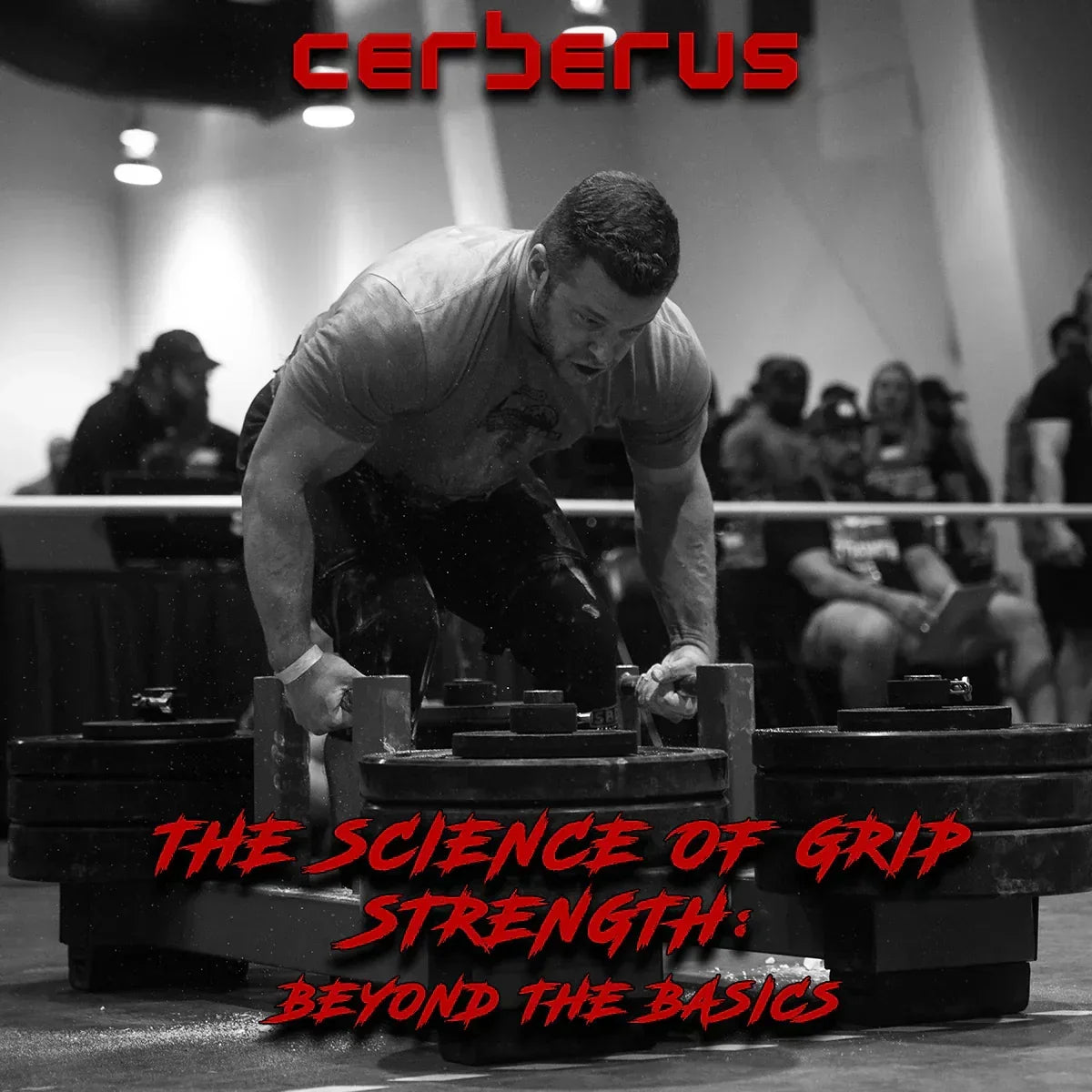 The Science Of Grip Strength: Beyond The Basics
